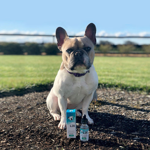 Lix Elixir CBD Oil For Dogs 250mg - Poudre Pet and Feed Supply